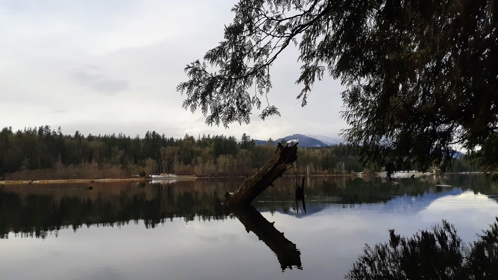 Hayward Lake Reservoir Trail. | 31170 Dewdney Trunk Rd, Mission, BC V4S 1C4, Canada