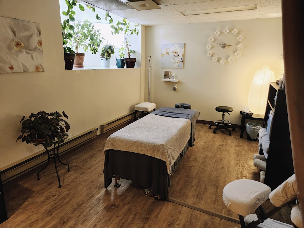 Visacova Santé Massothérapie | 1631 Rue de Salaberry #04, Montreal, QC H3M 1K3, Canada | Phone: (438) 990-2883