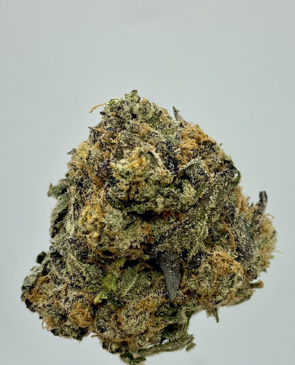 Weed Delivery Markham I Golden Budz Dispansery | 138 Robinson St, Markham, ON L3P 5H5, Canada | Phone: (647) 370-2365