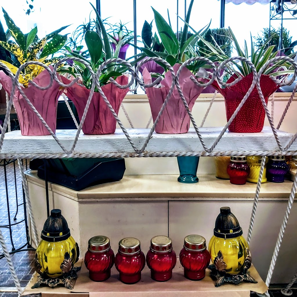 Cosmopolitan Florists | 994 Main St, Winnipeg, MB R2W 3P7, Canada | Phone: (204) 589-7359