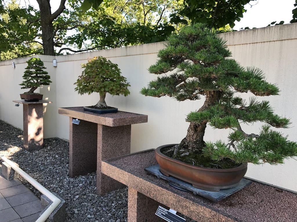 Japanese Garden | 4101 Rue Sherbrooke E, Montréal, QC H1X 2B1, Canada | Phone: (514) 872-0607