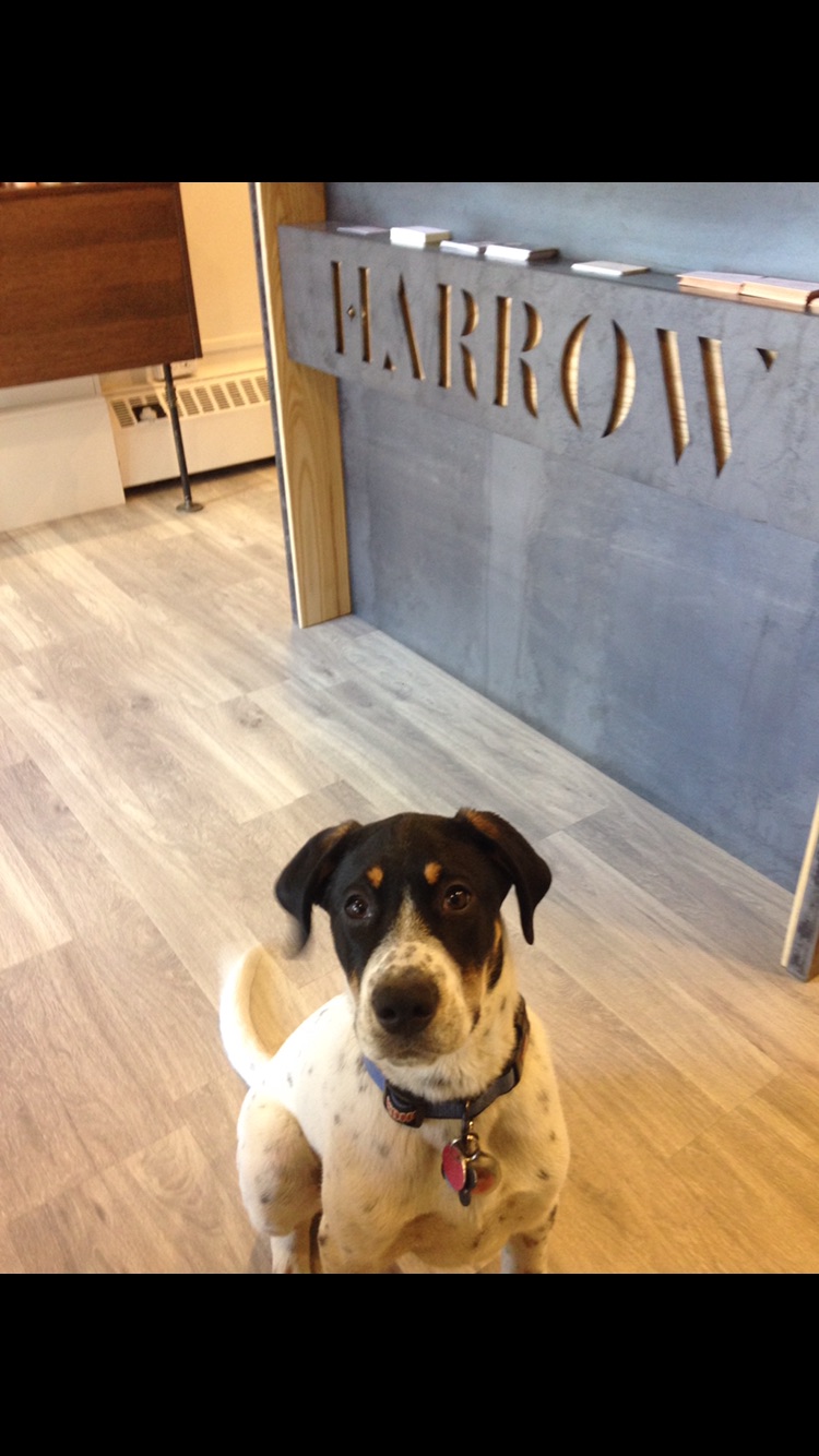 Harrow Hair Company | 11020 127 St NW, Edmonton, AB T5M 0T2, Canada | Phone: (780) 756-5959