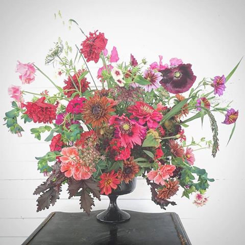 Ardelia Farm & Co. | 3118 W Glover Rd, Irasburg, VT 05845, USA | Phone: (802) 323-4178