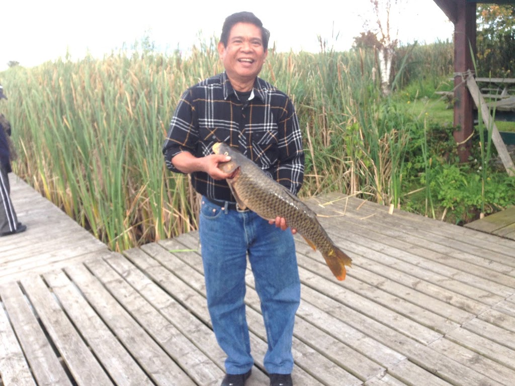 FisHaven | 21550 Bathurst St, Holland Landing, ON L9N 1P6, Canada | Phone: (647) 834-2046