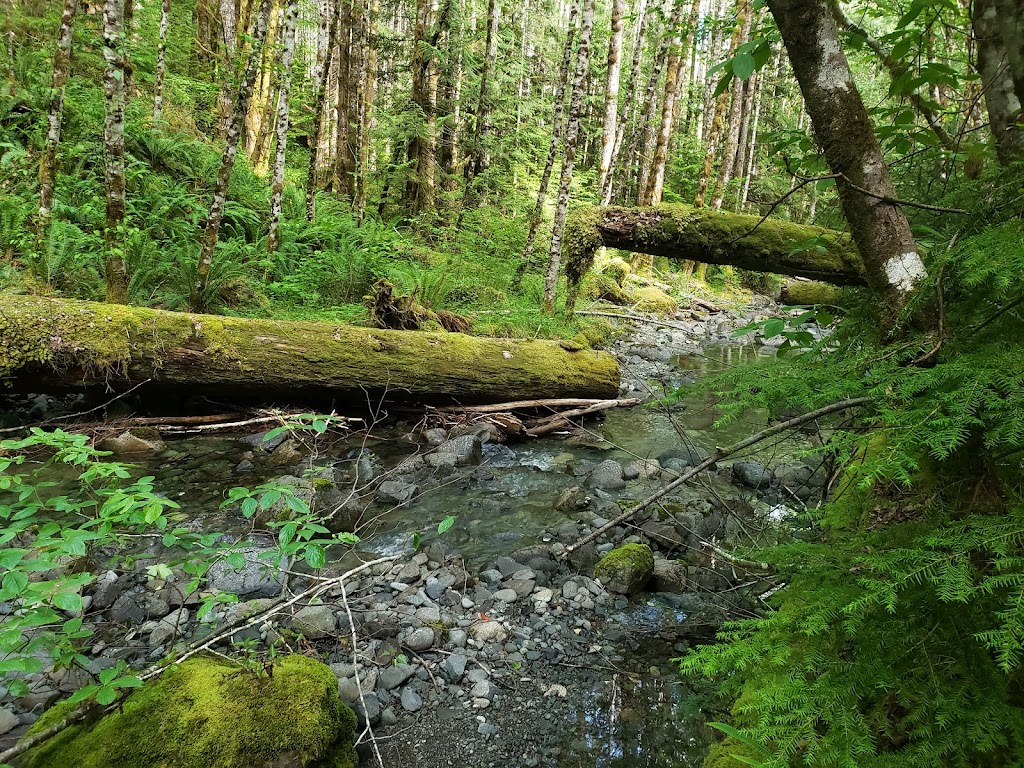 Taylor Arm Provincial Park | Pacific Rim Hwy, Port Alberni, BC V0R 1W0, Canada | Phone: (250) 474-1336