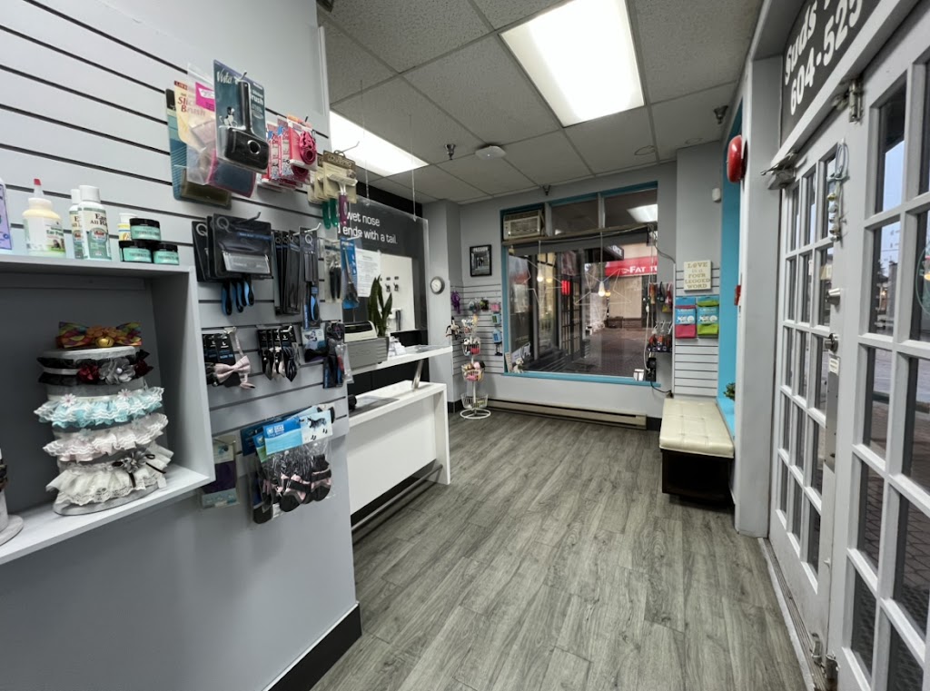 Suds n Scissors - Dog Grooming Studio | 931 Brunette Ave Unit G, Coquitlam, BC V3K 6T5, Canada | Phone: (604) 525-7387