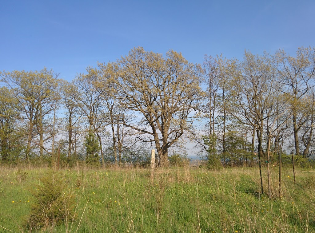 Kerncliff Park | 2198 Kerns Rd, Burlington, ON L7P 1P8, Canada | Phone: (905) 335-7600