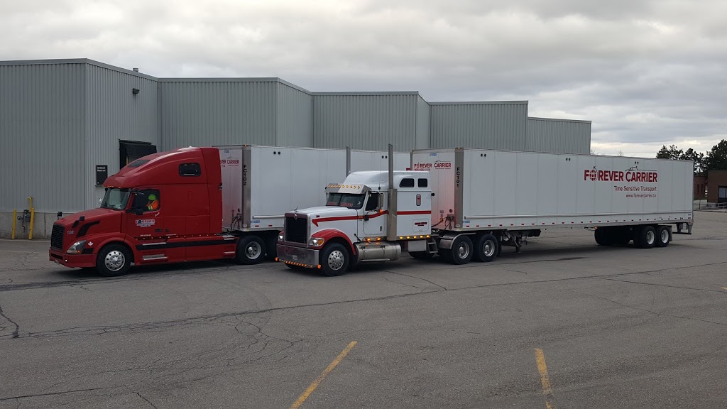 Forever Carrier | 5225 Orbitor Dr Unit-13, Mississauga, ON L4W 4Y8, Canada | Phone: (905) 455-1114