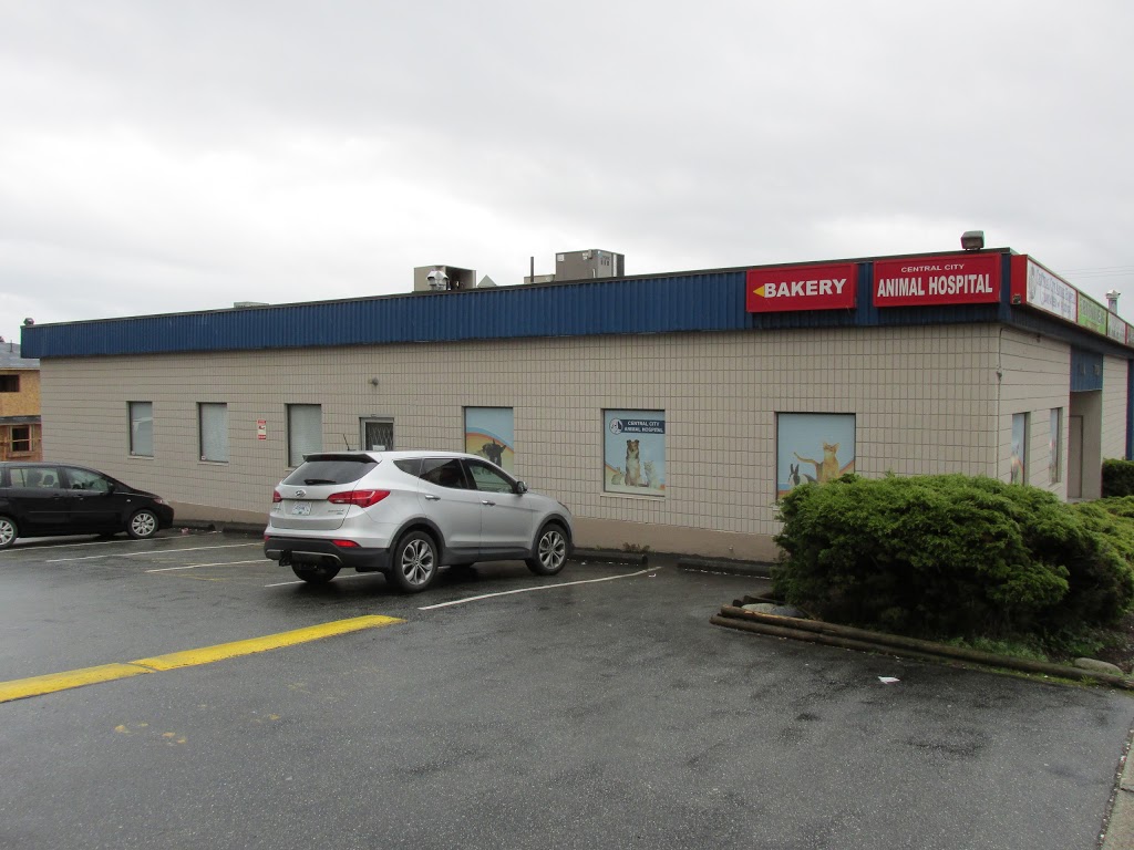 Central City Animal Hospital | 1-7834 6th St, Burnaby, BC V3N 3N2, Canada | Phone: (604) 522-3344