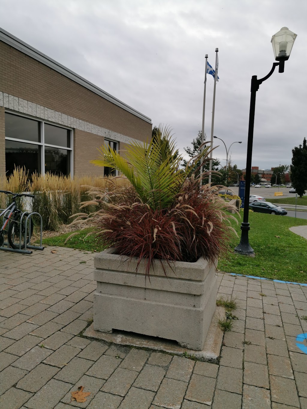 Sainte-Thérèse Public Library | 150 Bd du Séminaire, Sainte-Thérèse, QC J7E 1Z2, Canada | Phone: (450) 434-1440