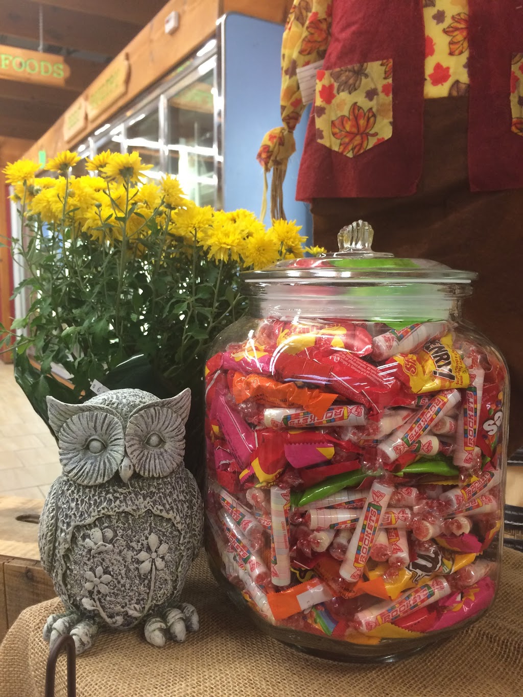 Baysville Country Store Inc | 2611 117, Baysville, ON P0B 1A0, Canada | Phone: (705) 767-2498