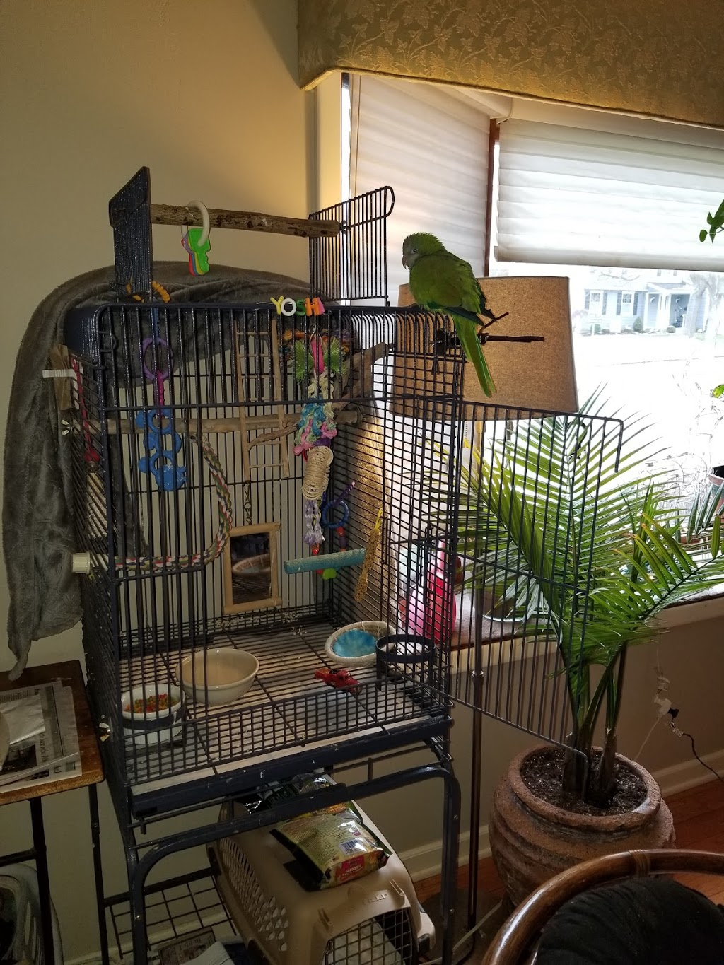 Specialized Care-Avian & Exotic Pets | 10882 Main St, Clarence, NY 14031, USA | Phone: (716) 759-0144