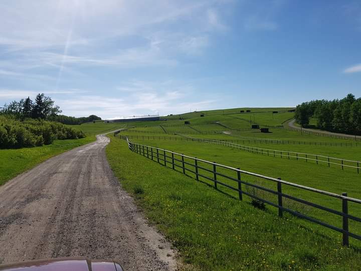 Ironstone Farms | 274117 112 St W, Alberta T1S 0W5, Canada | Phone: (403) 703-4219