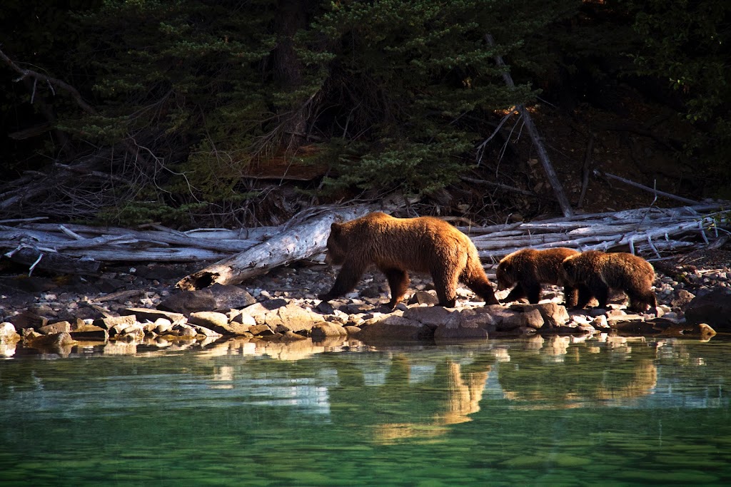 Chaunigan Lake Lodge | H4PC+6W, Cariboo J, BC V0L 1X0, Canada | Phone: (888) 879-8885