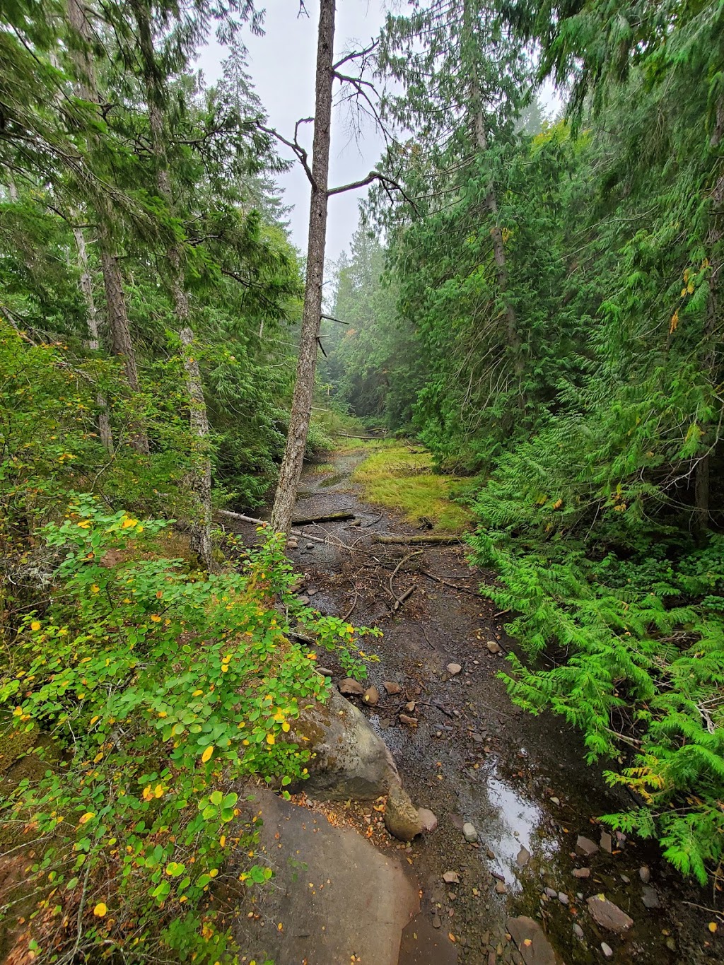 Cable bay trail | 2705 Nicola Rd #2645, Nanaimo, BC V9X 1N4, Canada | Phone: (250) 754-4251