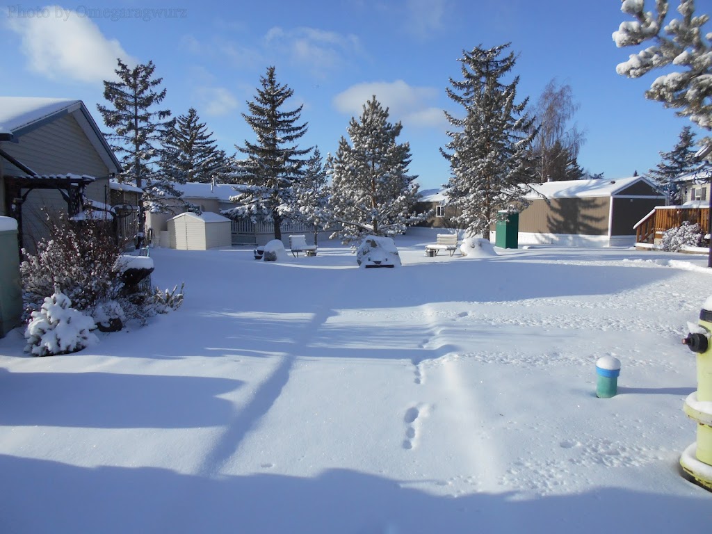 Parkridge Estates Community Hall | 222 Burroughs Cir NE, Calgary, AB T1Y 6K3, Canada | Phone: (403) 293-4557