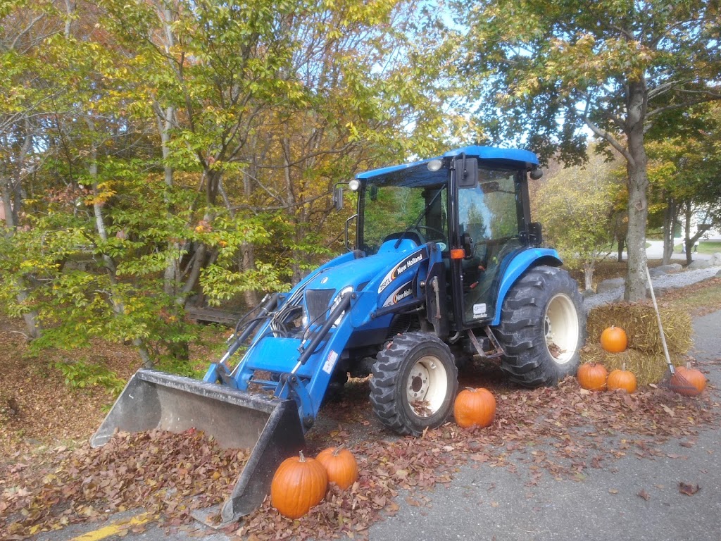 Rothesay Netherwood School | 40 College Hill Rd, Rothesay, NB E2E 5H1, Canada | Phone: (506) 847-8224