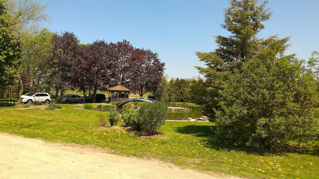 Wright Veterinary Hospital | 6958 Wellington 16, Belwood, ON N0B 1J0, Canada | Phone: (519) 843-1783