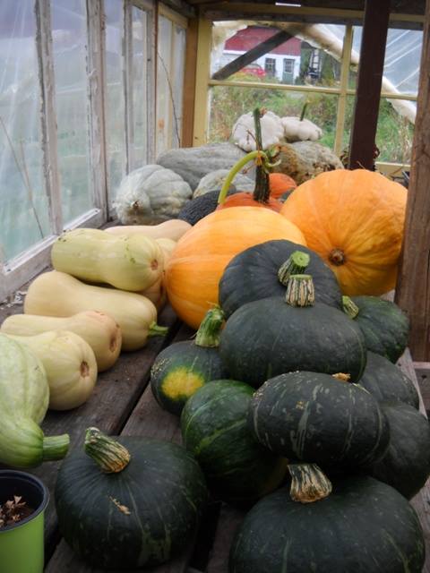 Wandering Moose Farms | 1579 Riley Rd, Franklin, VT 05457, USA | Phone: (802) 285-6844
