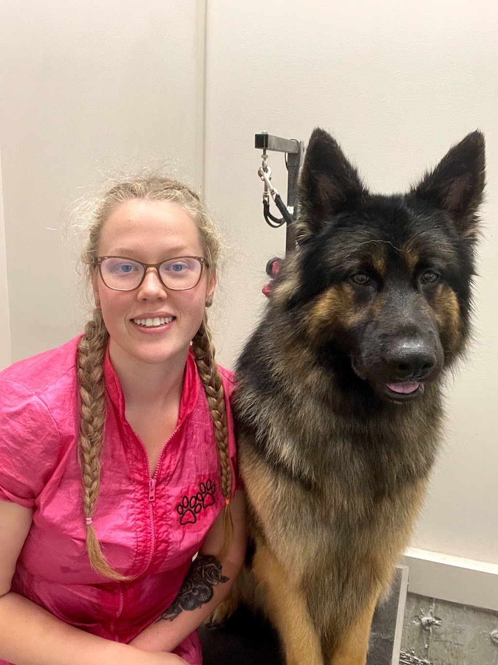 Grooming By Julia | 1817 Tanager Cl NW, Edmonton, AB T5S 0K9, Canada | Phone: (825) 522-3647