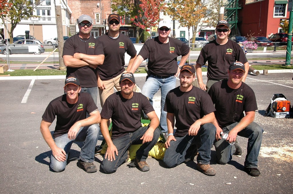 Pro Tree Service | 8071 4 Line, Angus, ON L0M 1B0, Canada | Phone: (705) 424-1141