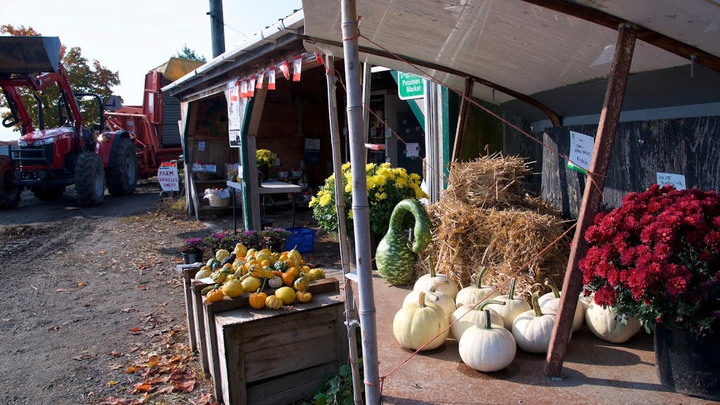 Reids Potatoes and Farm Market | 833153 4th Line, (Orangeville), Mono, ON L9W 5Z3, Canada | Phone: (519) 940-4096