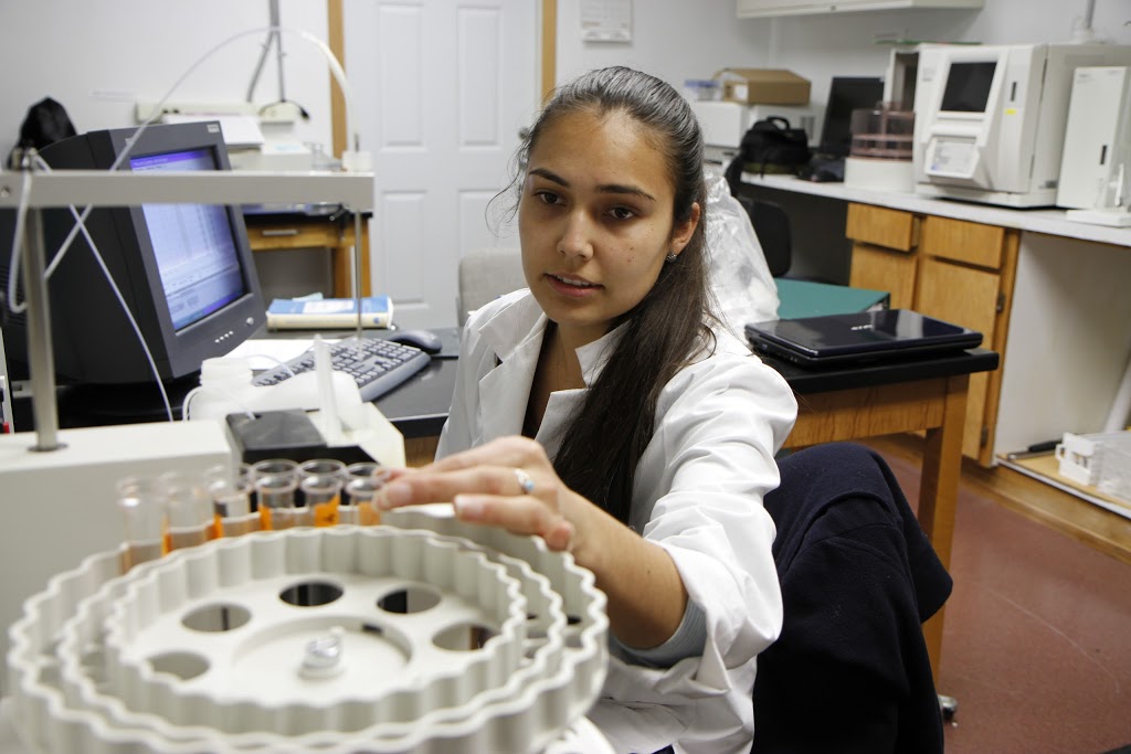 Northwest Indian College | 2522 Kwina Rd, Bellingham, WA 98226, USA | Phone: (360) 676-2772