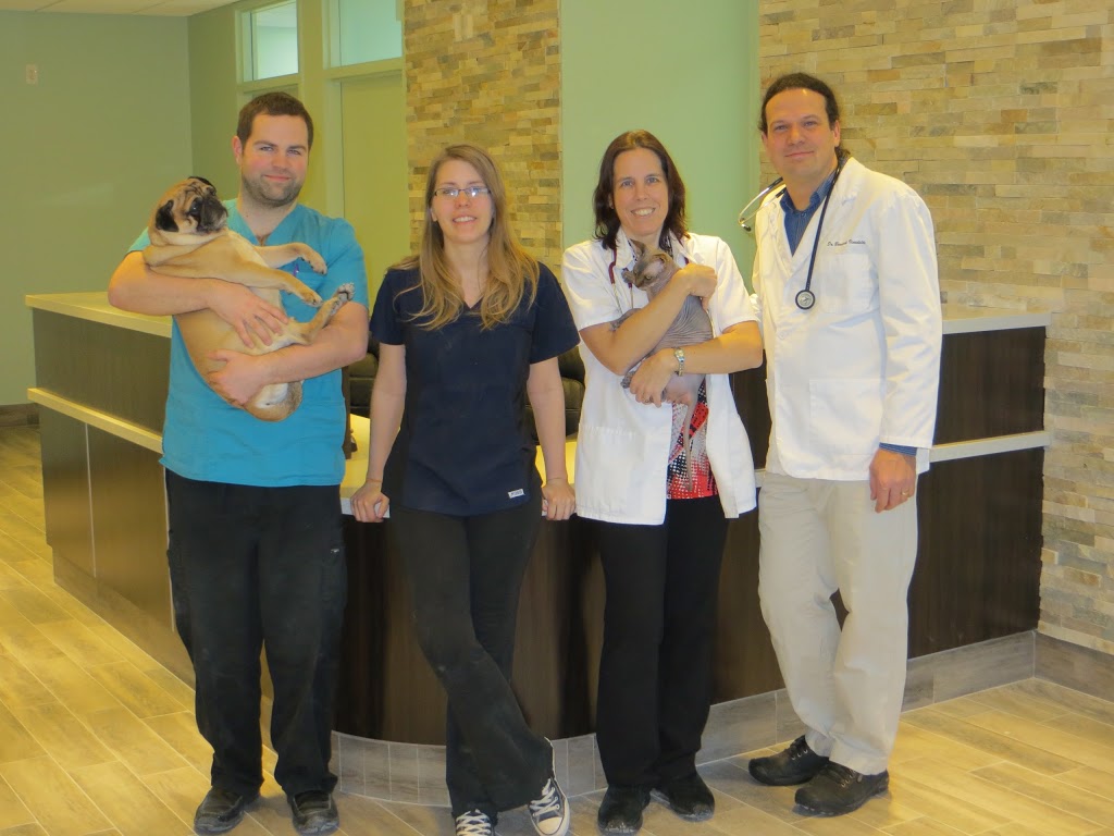 The Hamlet Veterinary Hospital | 2592 Innes Rd, Gloucester, ON K1B 4Z6, Canada | Phone: (613) 837-7387