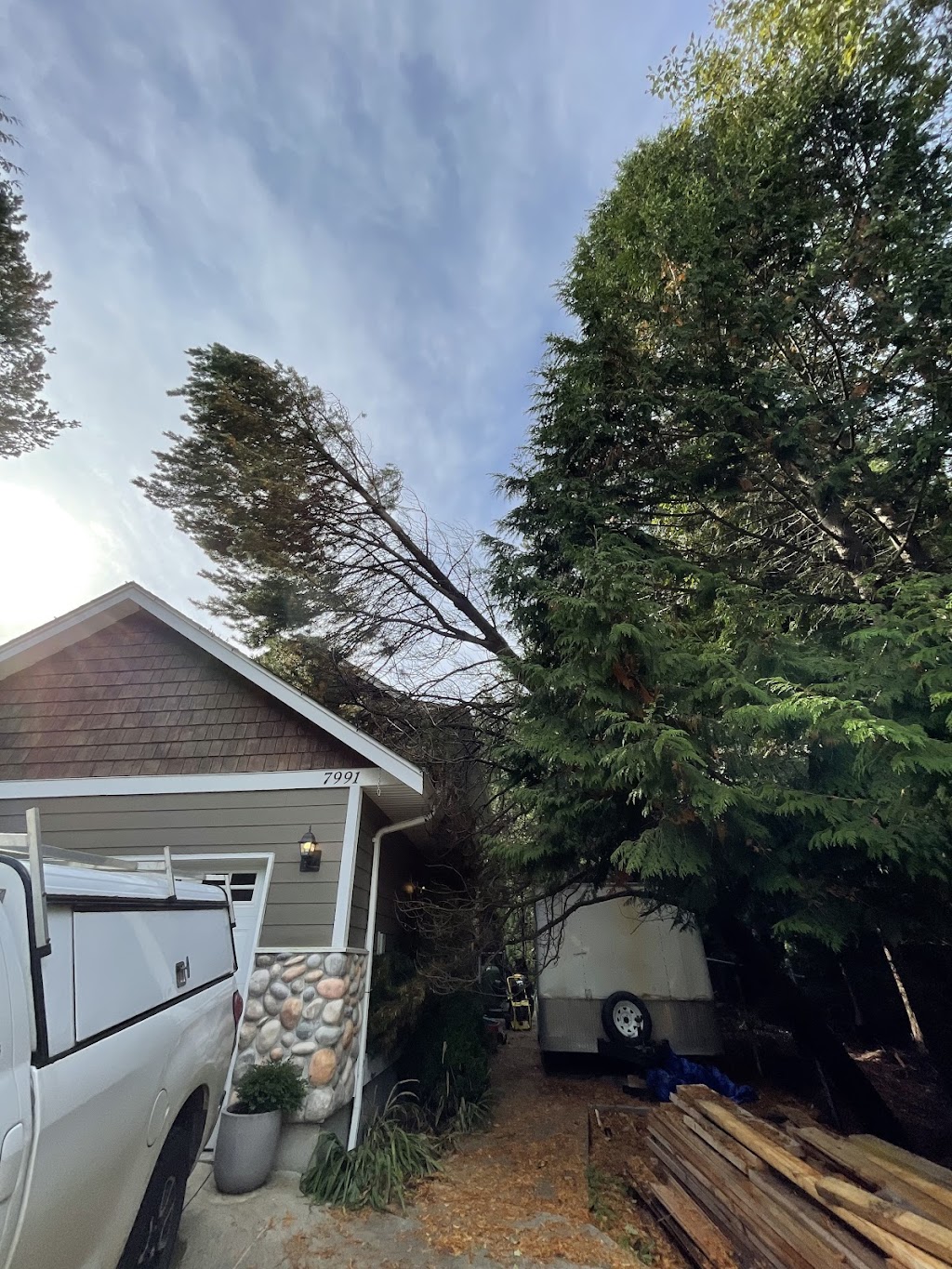 Clear Choice Tree Service | 6389 Homestead Ave, Sechelt, BC V0N 3A7, Canada | Phone: (604) 885-8068