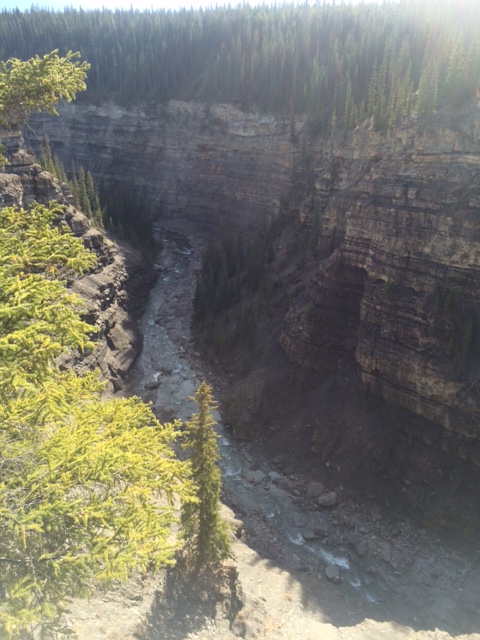 Cheechako cabins | 205 Grouse Meadow Ln, Nordegg, AB T0M 2H0, Canada | Phone: (403) 721-2230