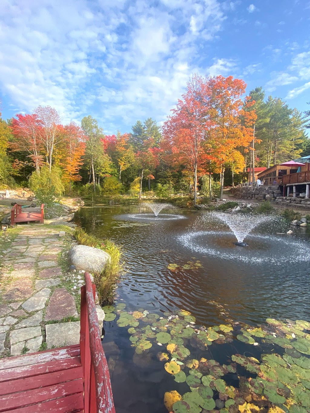 Huong Hai Zen Forest | 121B Bridgewater Rd, Tweed, ON K0K 3J0, Canada | Phone: (613) 478-5984