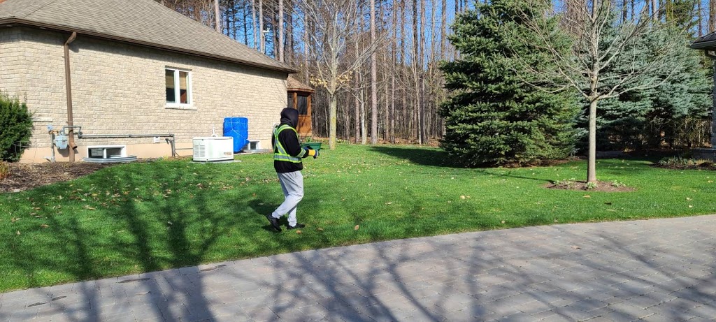 COBRAN LAWN CARE | 174 Beattie Ave, Alliston, ON L9R 1C1, Canada | Phone: (705) 796-6931