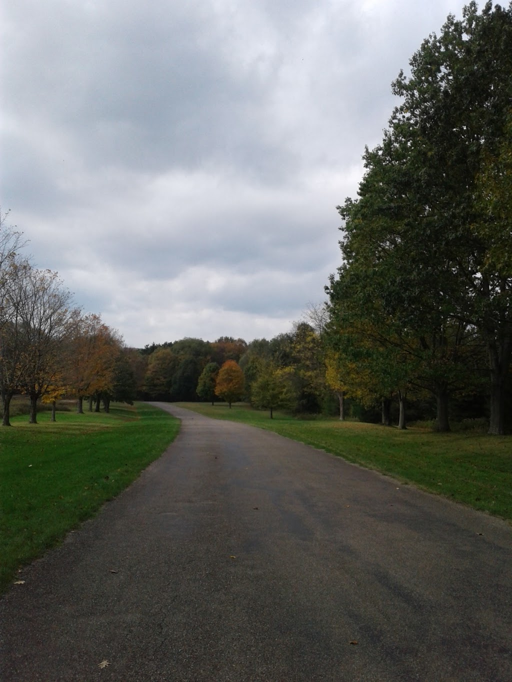 Sprague Brook County Park | 9674 Foote Rd, Glenwood, NY 14069, USA | Phone: (716) 592-2804