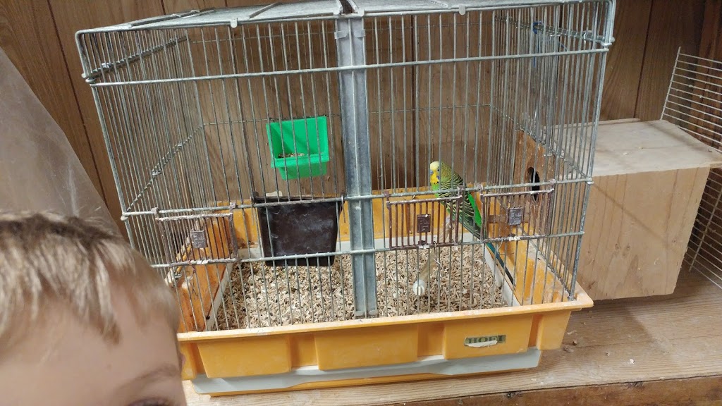 Creekside Pets & Supplies | 1811 Abbott Rd, Lackawanna, NY 14218, USA | Phone: (716) 822-8799