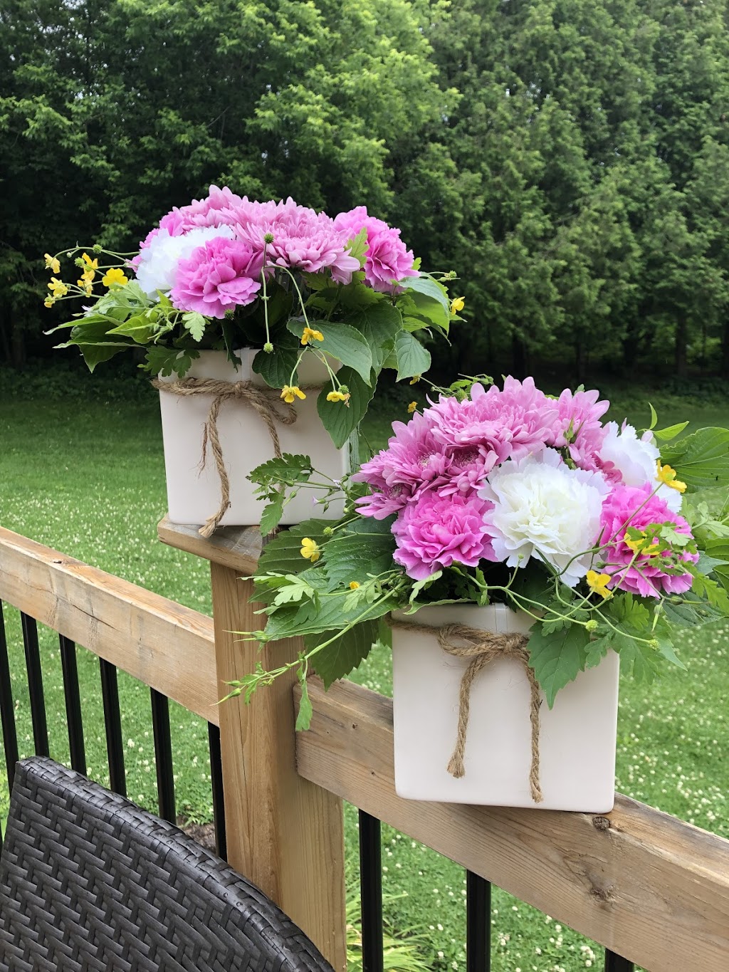 Life Vine Creations | 12374 Elizabeth St, Limehouse, ON L0P 1H0, Canada | Phone: (905) 703-8554
