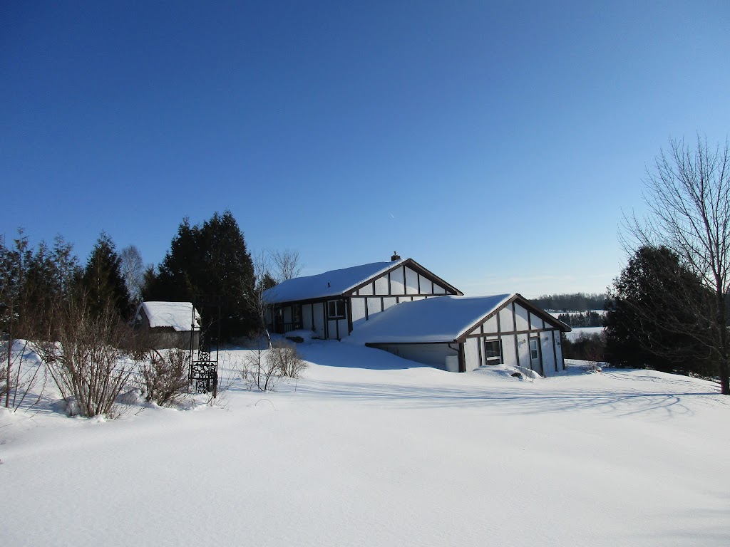 Janet Liesemers Art | 838 Albert St, Ayton, ON N0G 1C0, Canada | Phone: (519) 665-7842