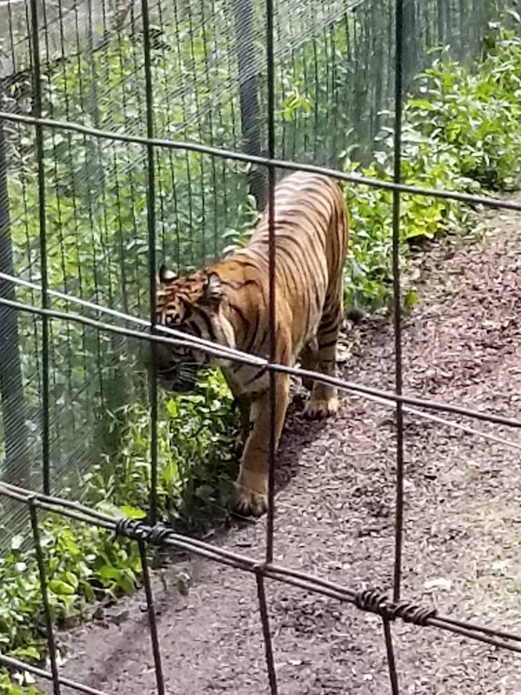 Toronto Zoo Foundation | 361A Old Finch Ave, Scarborough, ON M1B 5K7, Canada | Phone: (416) 392-9113