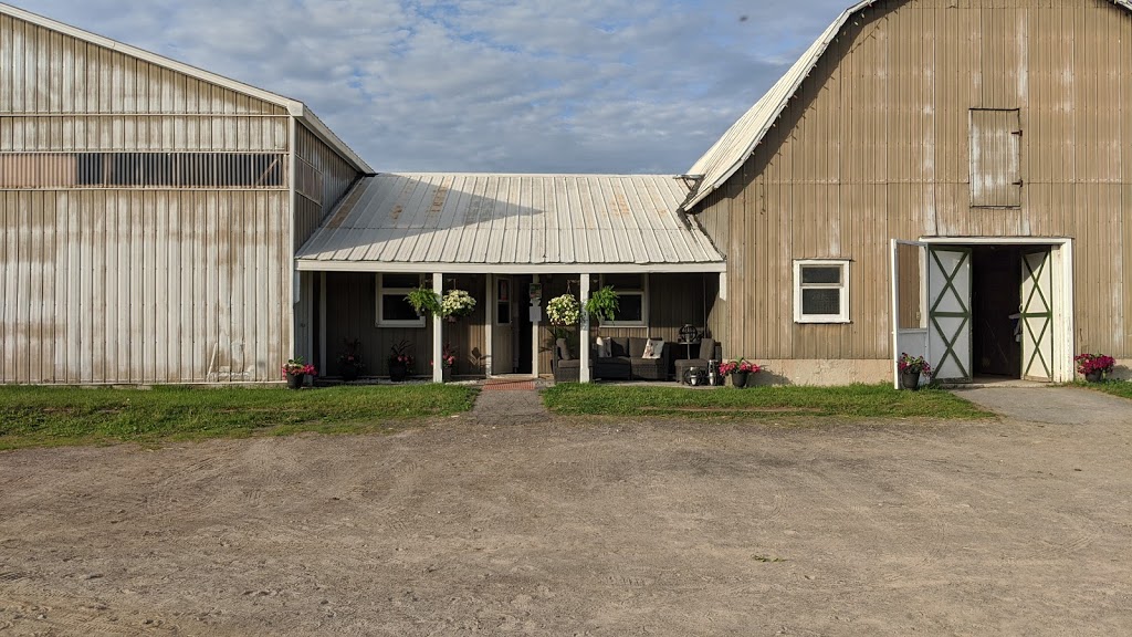 Fiddlers Green Stables | 6575 Flewellyn Rd, Stittsville, ON K2S 1B6, Canada | Phone: (613) 831-2844