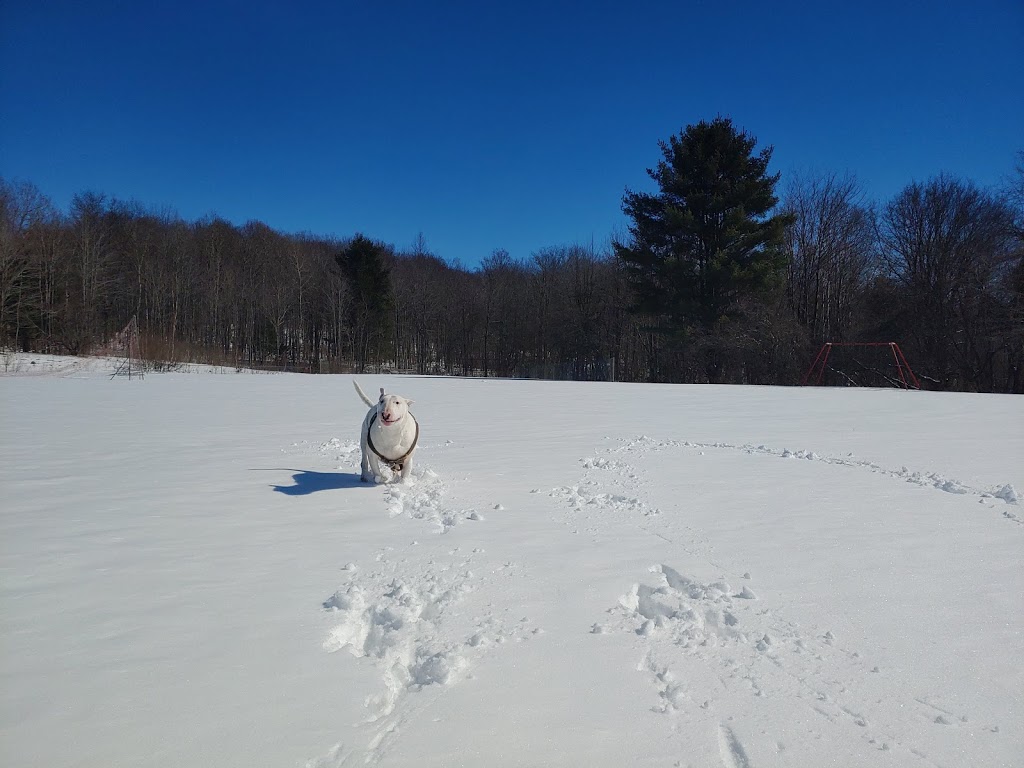Walter Kummer Town Park | 8602 Park Street, Colden, NY 14033, USA | Phone: (716) 941-5012