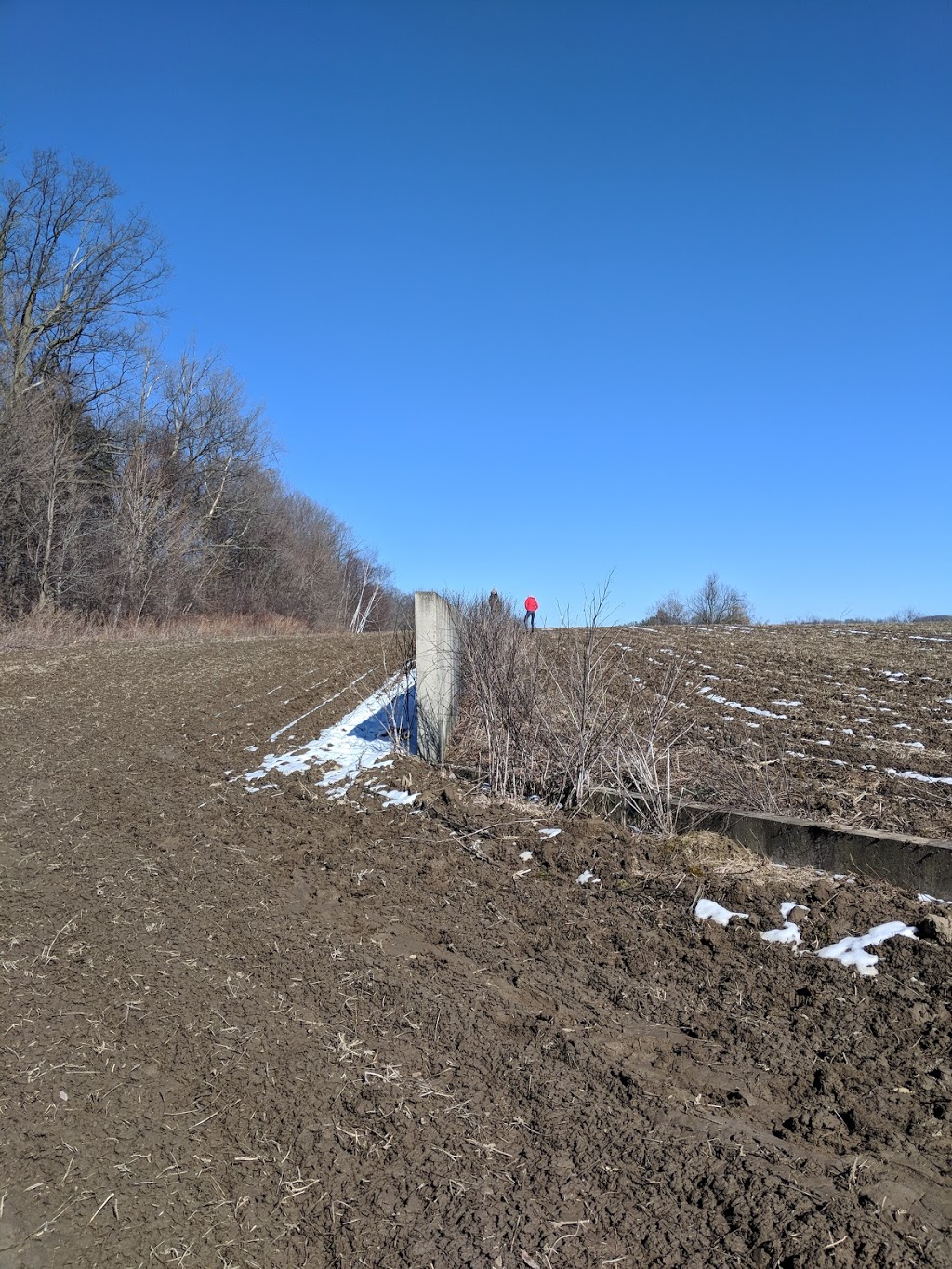 Shift by Richard Serra | King, ON L7B 1C6, Canada