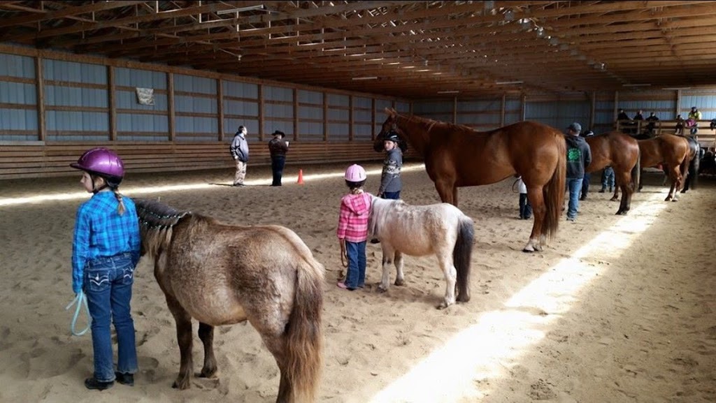 Helstrom Performance Horses | 960 Komarno Rd, Winnipeg Beach, MB R0C 3G0, Canada | Phone: (204) 389-3401