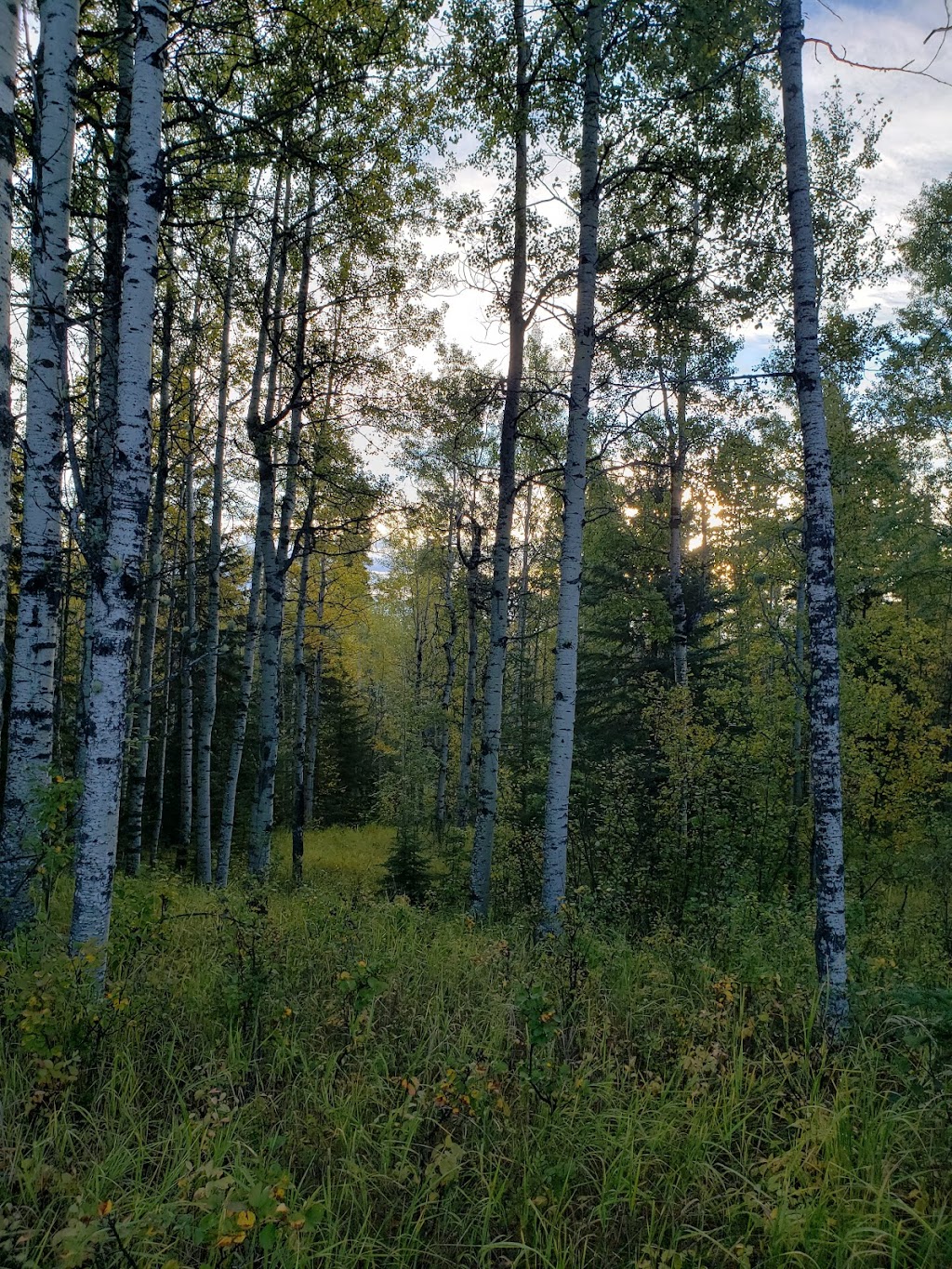 Crimson Lake Provincial Park | Rocky Mountain House, AB T0M 0C0, Canada | Phone: (403) 845-2330