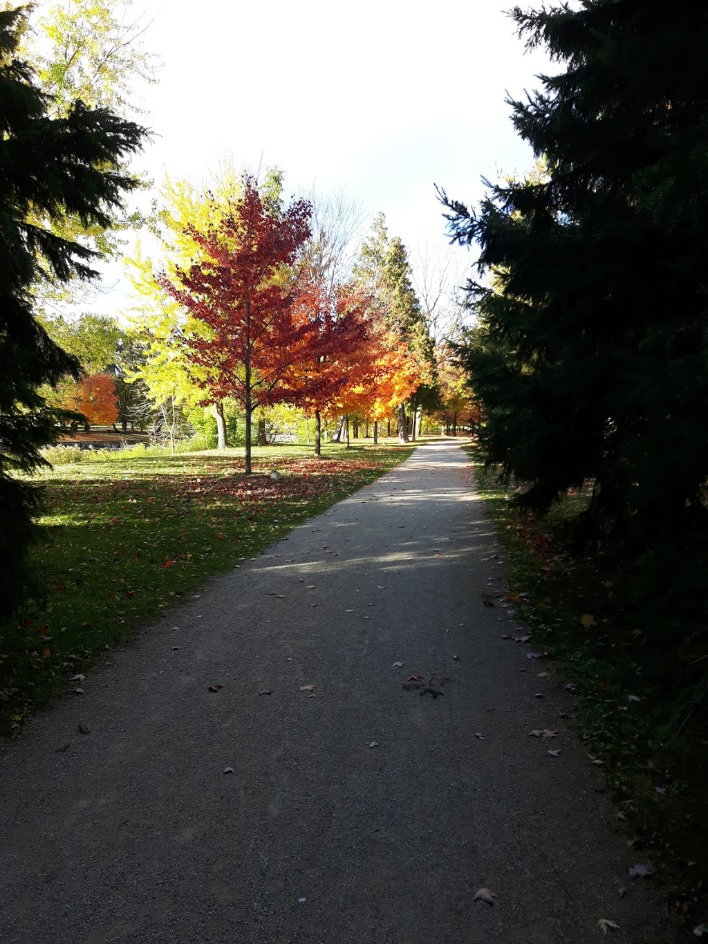 Riverside Park | 709 Woolwich St, Guelph, ON N1H 7G6, Canada | Phone: (519) 822-1260