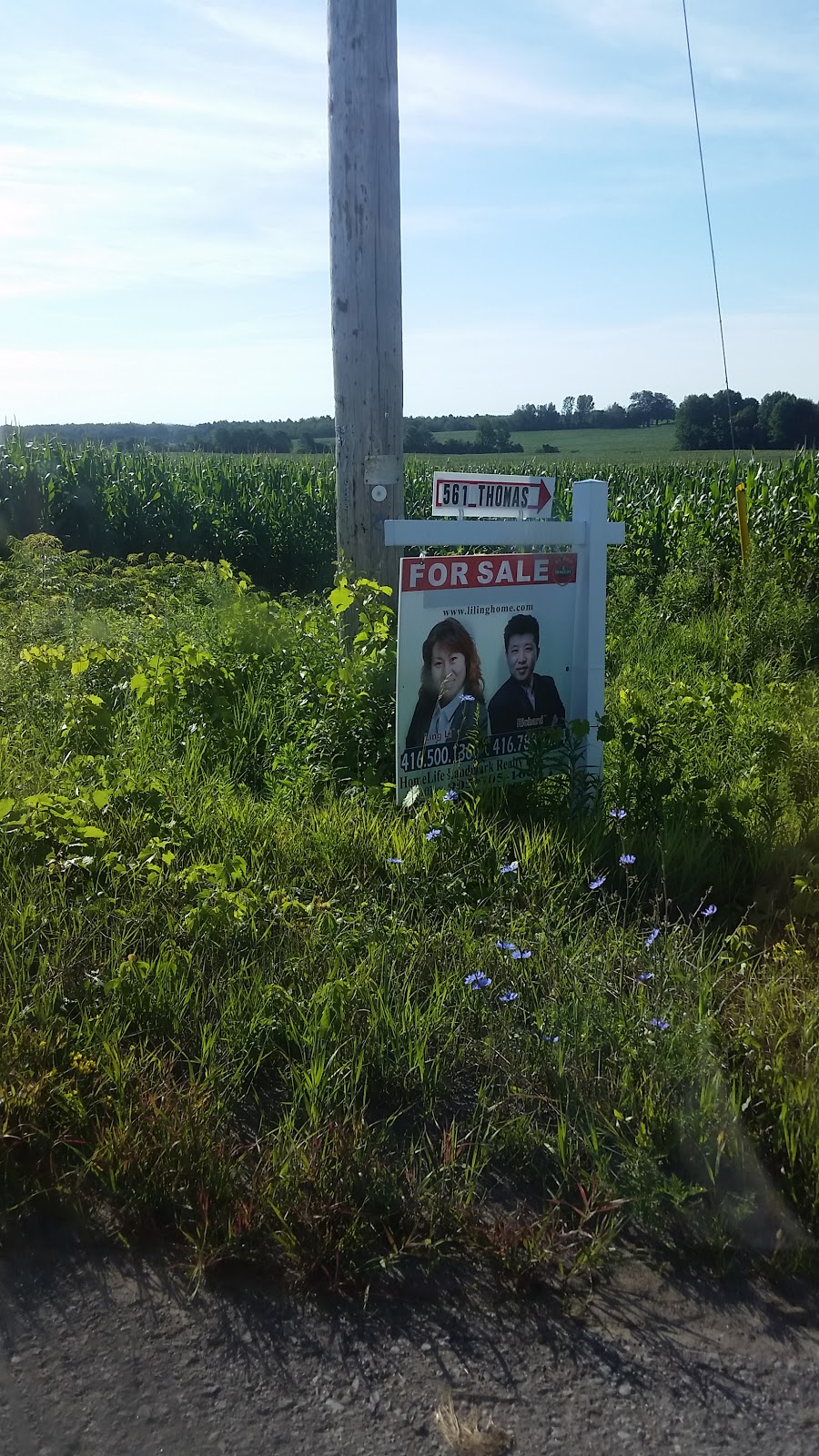 The Artful Garden Gallery and Thomas House Collectibles | Alnwick/Haldimand, ON K0K 1S0, Canada | Phone: (905) 355-3257
