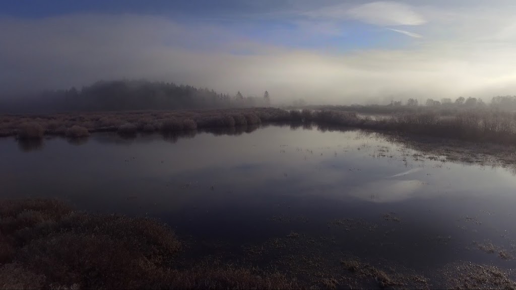 Somenos Marsh Conservation Area | Duncan, BC V9L 3A5, Canada