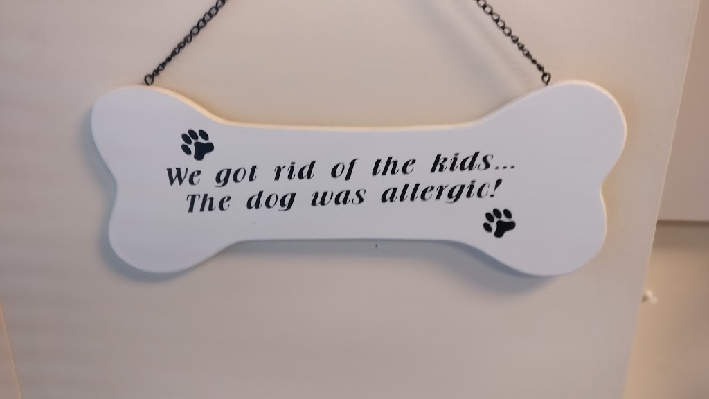 River Grove Animal Hospital | 1201 Britannia Rd W #15, Mississauga, ON L5V 1N2, Canada | Phone: (905) 567-4677