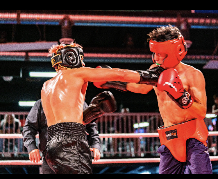 Pack of Wild Dogs | 12851 No 5 Rd, Richmond, BC V7A 4E9, Canada | Phone: (778) 322-2195