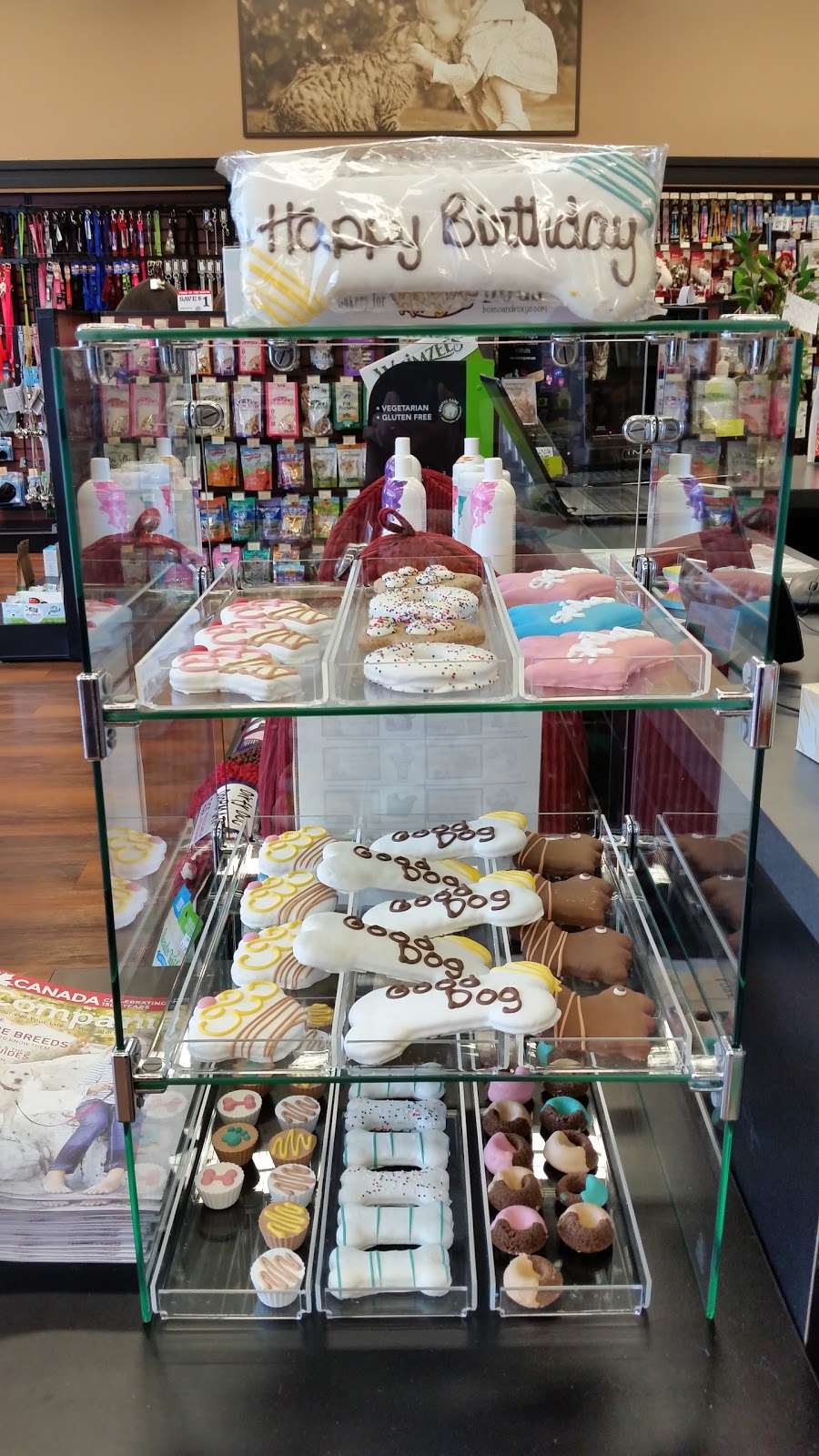 Pet Valu | 40 McEwan Dr E #12, Bolton, ON L7E 2Y3, Canada | Phone: (905) 951-0820
