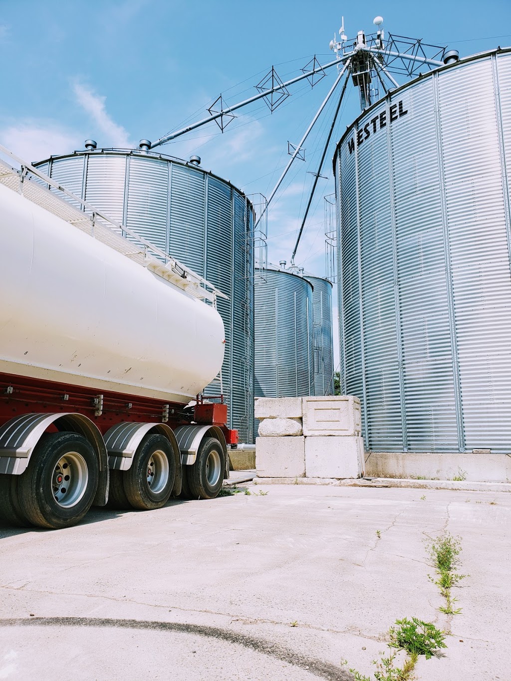 Centre de Grains Tricklinie Inc | 795 Rue Laurier, Lyster, QC G0S 1V0, Canada | Phone: (819) 998-0994