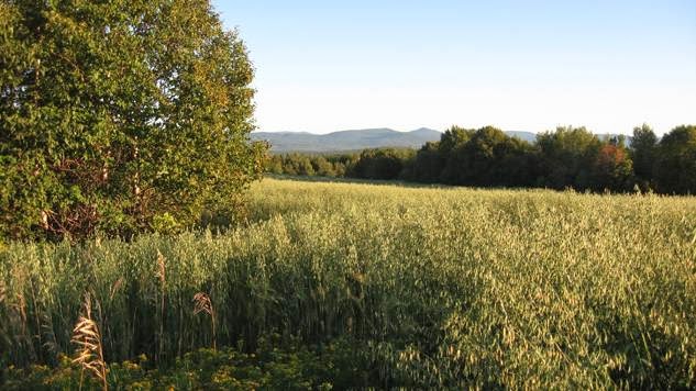 Aux Berges de LAurore CITQ: 075552 | 139 Route du Parc, Notre-Dame-des-Bois, QC J0B 2E0, Canada | Phone: (819) 888-2715